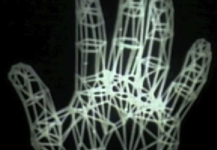 Screen capture showing polygons used to model the surface of the hand.